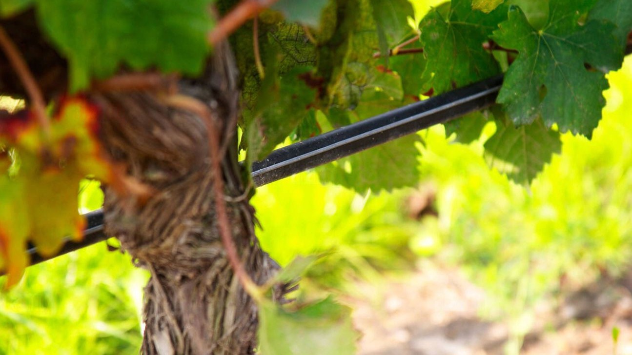 info-1295-728 info-1295-728